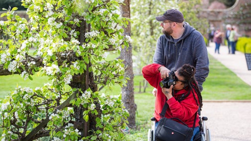 Visitor photographing white blossom on a tree from their wheelchair
